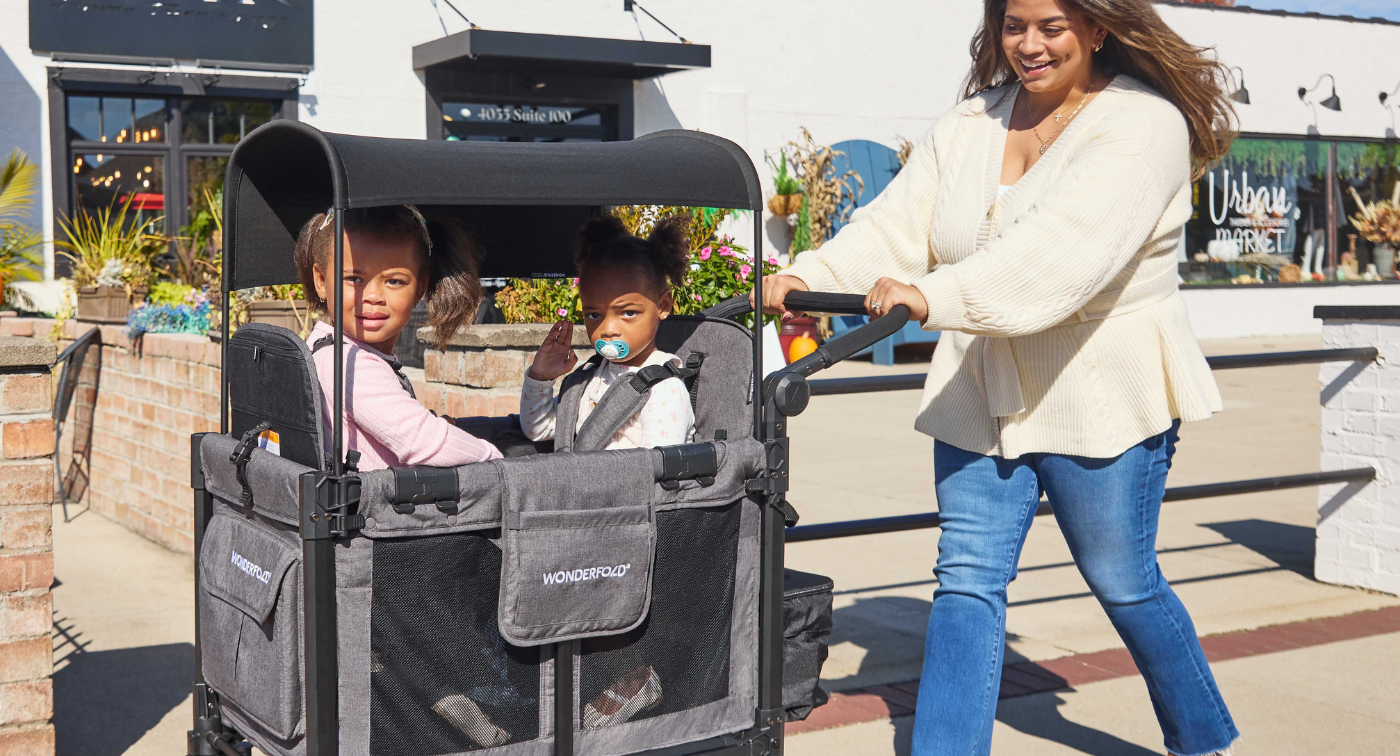 Double stroller wagon cheap