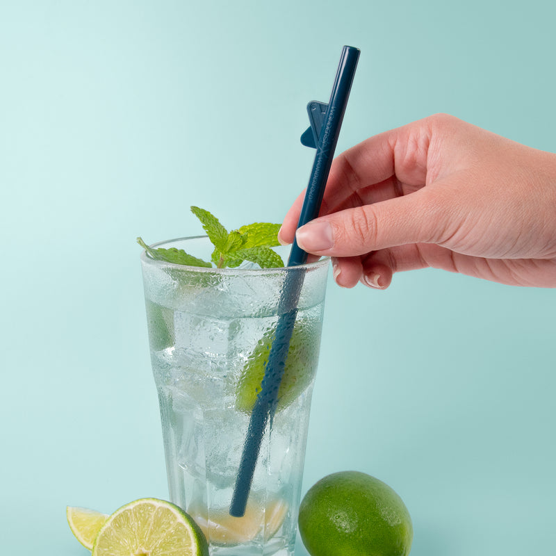 Reusable Straws | Two Pack