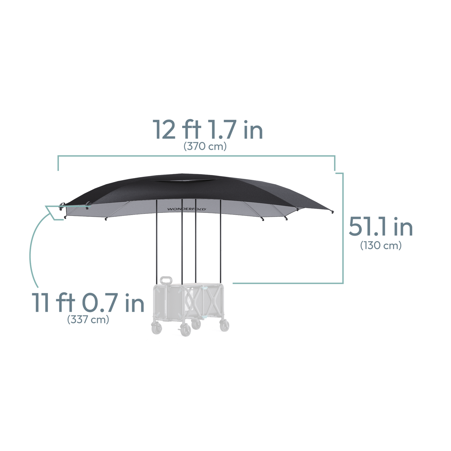 Canopy umbrella dimensions