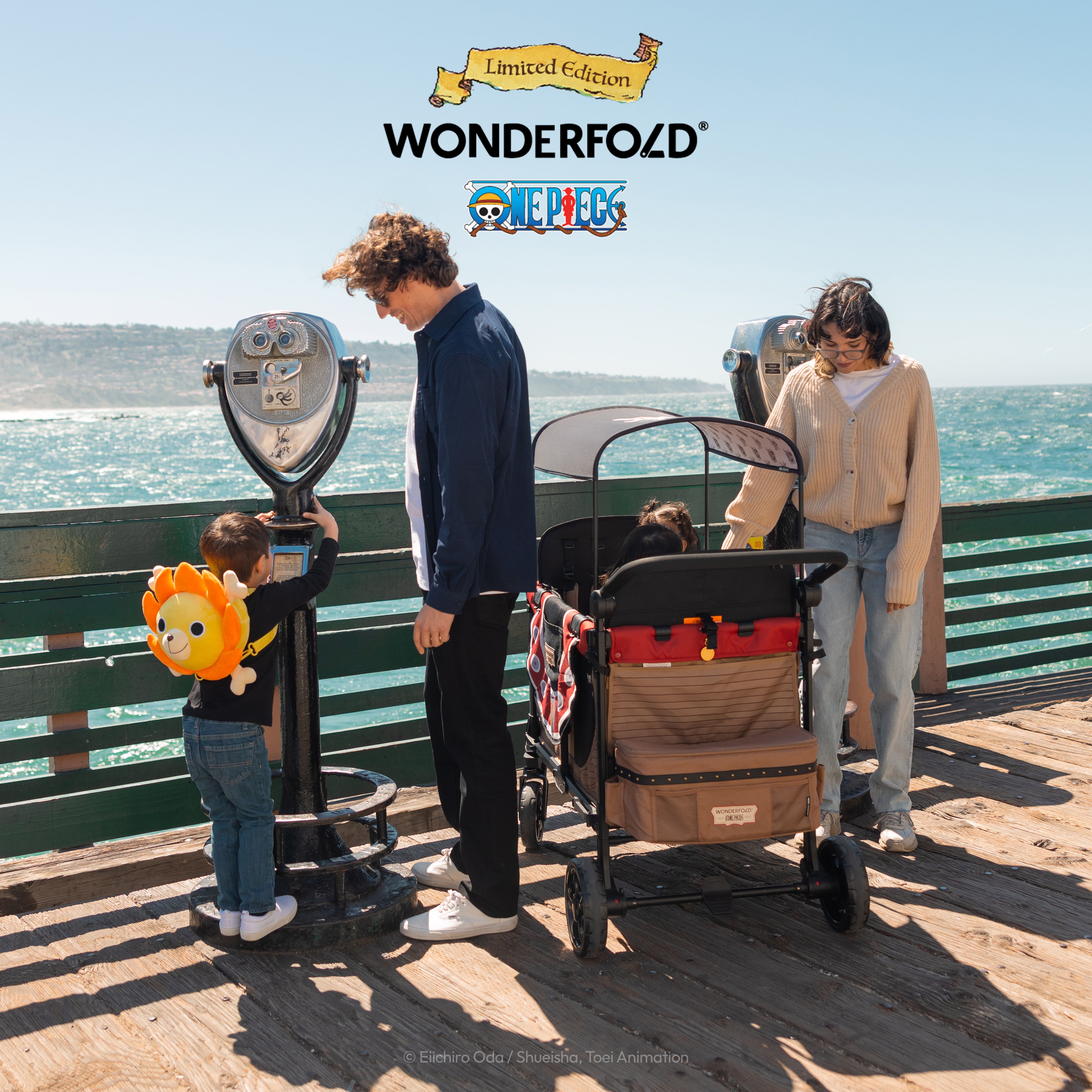 One Piece Thousand Sunny Kids Backpack Accessory – WONDERFOLD