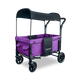 W1 / Cobalt Violet / V1, W1 / Cobalt Violet / V2