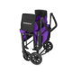 Cobalt Violet