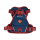 Large