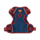 Large