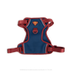 Extra Large