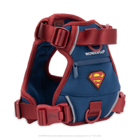 Superman Pet Harness
