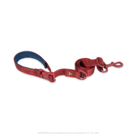 Superman Pet Leash