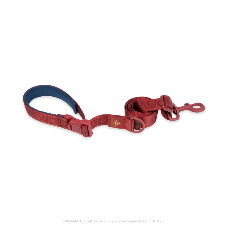 Superman Pet Leash
