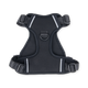 Black / Medium
