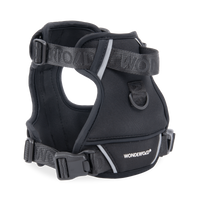 Pet Harness