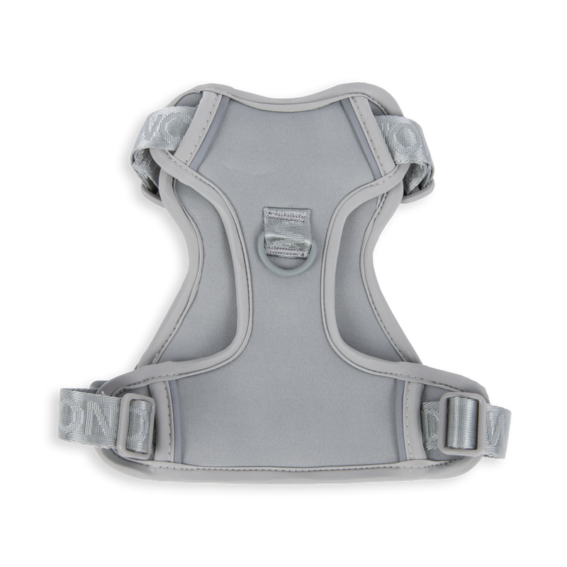 Light Gray / Medium
