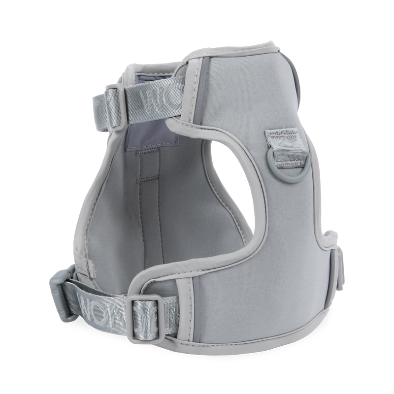 Light Gray / Medium