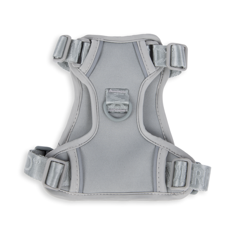 Light Gray / Small
