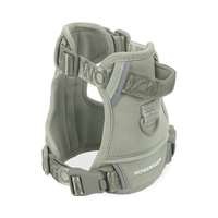 Pet Harness