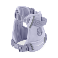 Pet Harness