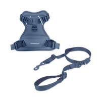 Pet Harness and Leash Bundle