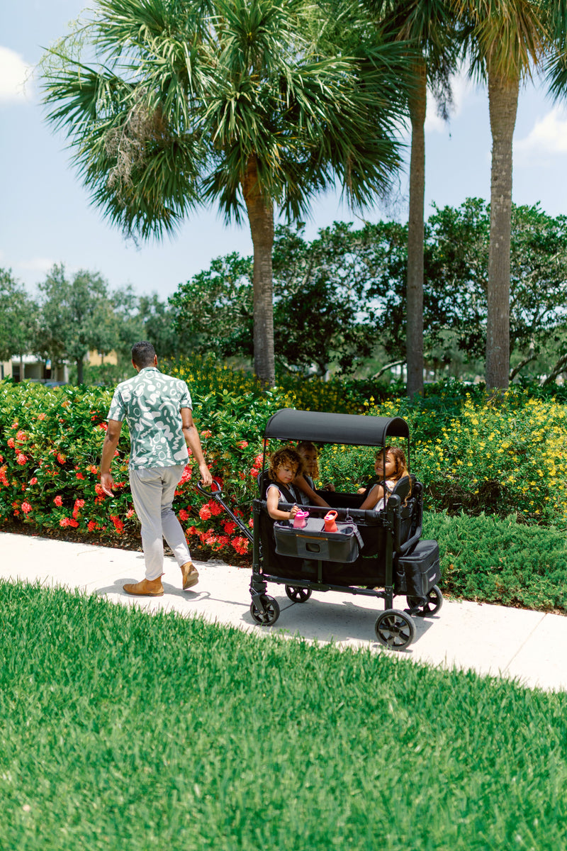 Pull Handle | W & L Series