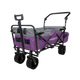 Open Box S3 Push & Pull Folding Wagon (Final Sale)