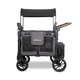 Charcoal Gray