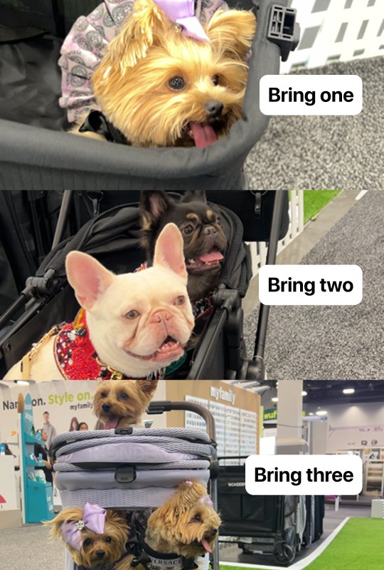 Bring one, bring two, bring three