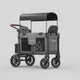 Charcoal Gray