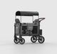 Charcoal Gray