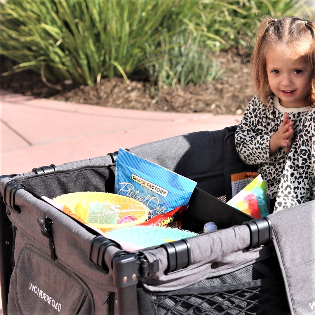 Original WonderTote for W4 | Accessory | WonderFold – WONDERFOLD