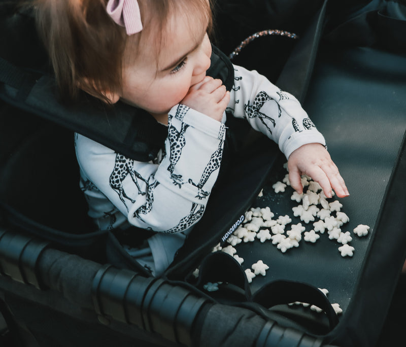 W1 | W2 | M1 / Black, W4 Models / Black